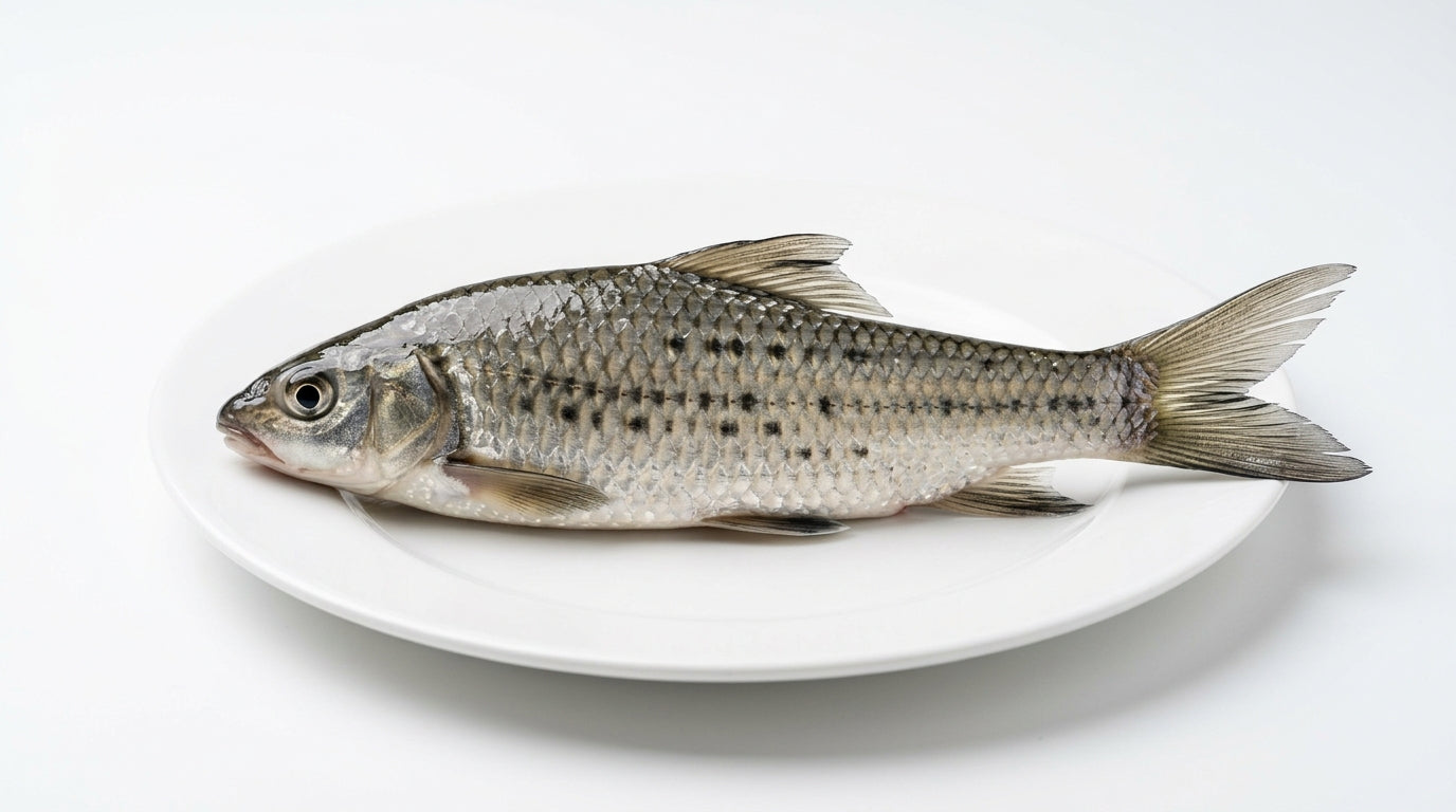 Mangala Fish