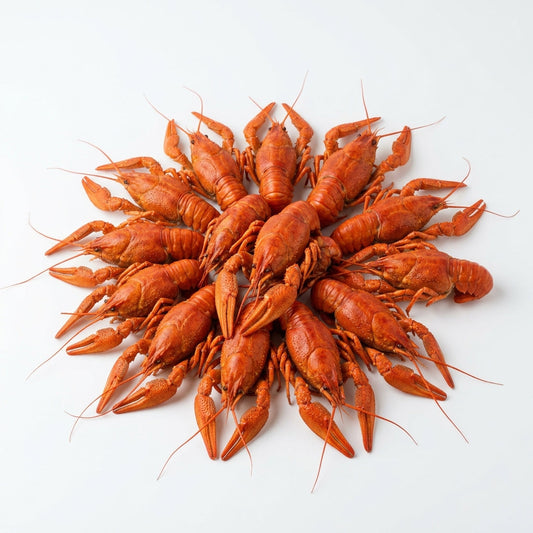 How to Store Crayfish, Stockfish and Dry Fish Properly