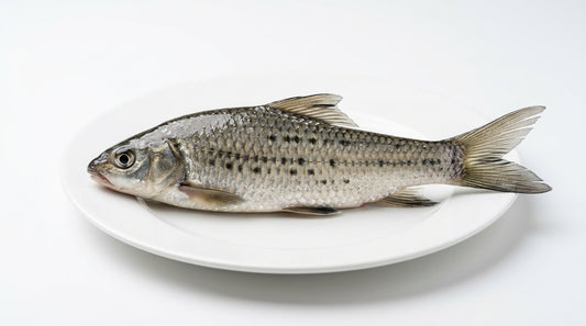 Mangala Fish